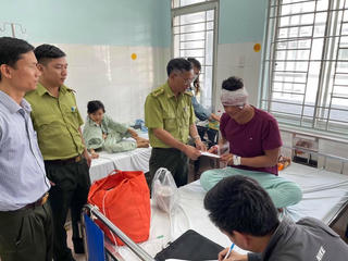 Đồng Nai: Vào rừng săn thú, chống trả lực lượng kiểm lâm