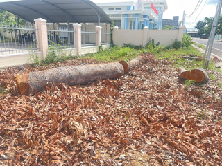 Chấn chỉnh ngay vi phạm trước sáp nhập