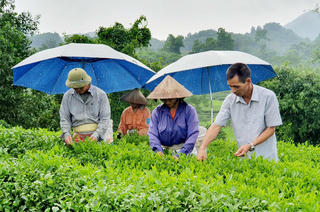 Người uy tín đi đầu trong phát triển kinh tế - xã hội