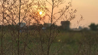 Nơi tim tôi dừng lại