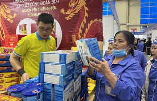 Tăng cường vận động đoàn viên, người lao động sử dụng hàng Việt