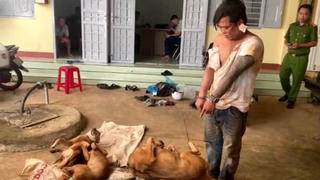 Đắk Lắk: Tạm giữ hình sự đối tượng trộm chó, đâm trọng thương chủ nhà
