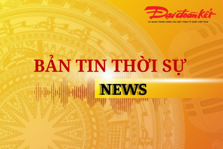 Bản tin thời sự ngày 9/7: Các công trình trái phép trên vịnh Bái Tử Long giờ ra sao?