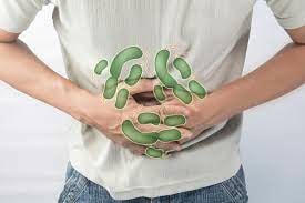 Đề phòng nguy cơ nhiễm khuẩn Salmonella