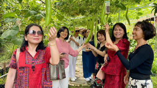 Nông dân làm du lịch vườn