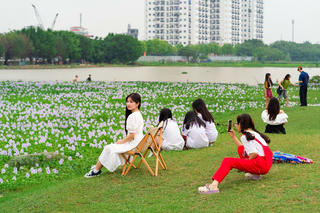 Giới trẻ váy áo xúng xính chụp ảnh cùng hoa bèo tây tím nở rộ ở Thủ đô