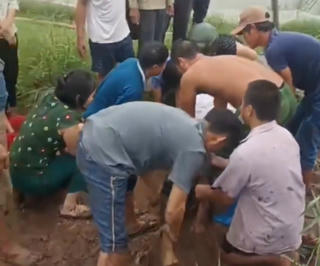 Chủ đầm tôm bị điện giật thiệt mạng