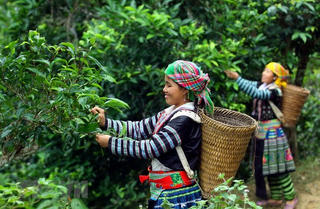 Món lạ ở Hà Giang