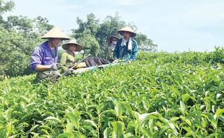 Đẩy mạnh chính sách hỗ trợ đất ở, đất sản xuất cho đồng bào dân tộc