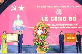Huyện Lục Nam được công nhận đạt chuẩn Nông thôn mới