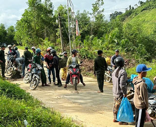 Người dân đổ xô vào rừng nhặt ươi bay