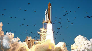NASA phát hiện mảnh vỡ tàu vũ trụ Challenger sau 26 năm gián đoạn