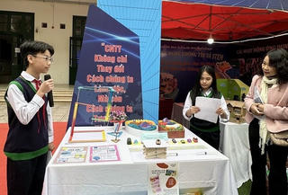 Giáo dục STEM: Giải pháp học tập sáng tạo