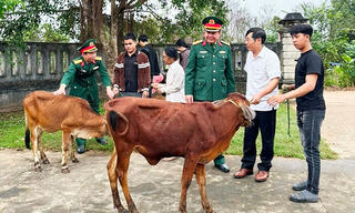 Quảng Bình: Trao tặng bò cho gia đình quân nhân khó khăn có thanh niên nhập ngũ