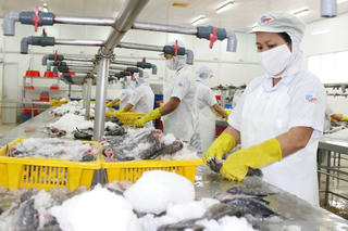 Doanh nghiệp với áp lực tỷ giá