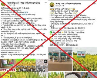 Thái Bình: Khởi tố 7 người lừa bán thóc giống rởm trên mạng