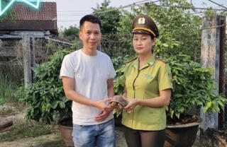 Huế: Người dân tự nguyện giao nộp nhiều cá thể động vật quý hiếm