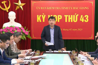 Bắc Giang: Thi hành kỷ luật Phó Bí thư Thường trực huyện ủy Yên Thế