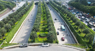 Rừng trong phố