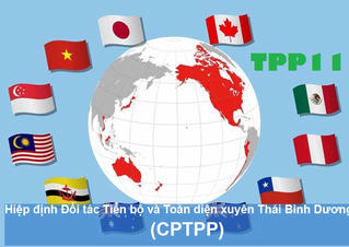 Tăng cường xuất khẩu vào thị trường các nước thành viên CPTPP