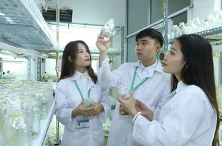 Thu hút, giữ chân nhân tài trong khu vực công