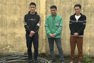 3 công nhân cắt trộm dây cáp của công ty