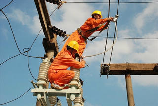 Cây khế chua có đại bàng đến đậu...