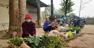 Đồng Lách biệt lập trong lòng thị xã