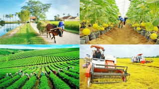 Đẩy nhanh tiến độ các Chương trình mục tiêu quốc gia