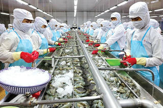 Cà Mau: Đẩy mạnh xúc tiến thương mại, mở rộng thị trường cho thủy sản