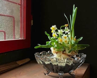 Những điều ít biết về thú chơi "đĩa ngọc chén vàng" dịp Tết của người Hà Nội