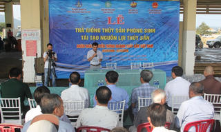 Phú Yên: Thả một triệu con giống tôm sú post 15, tái tạo nguồn lợi thủy sản