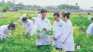 Thu hút thí sinh chọn ngành khoa học cơ bản: Cần giải pháp đột phá