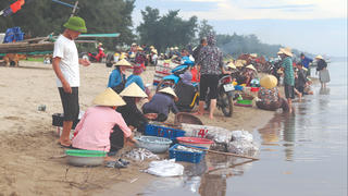 Nhộn nhịp chợ cá Quảng Nham