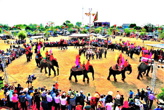 Hội voi Buôn Đôn thu hút du khách