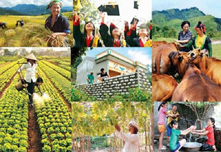 Thu hút đầu tư vào vùng dân tộc thiểu số và miền núi