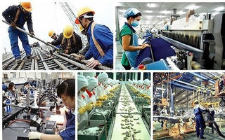 Tạo môi trường thuận lợi cho sản xuất, kinh doanh