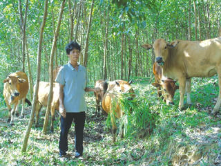 Khí chất của Hồ Phình
