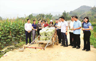 Nâng cao hiệu quả chính sách dân tộc từ hoạt động giám sát của nhân dân
