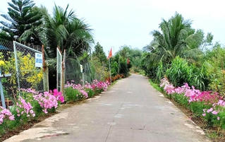 'Đồng phục hóa' làng quê