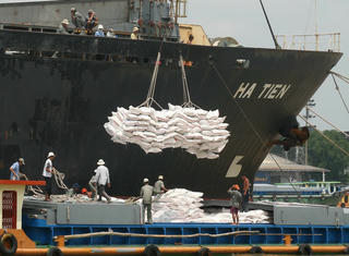 Nâng tầm thương hiệu gạo Việt