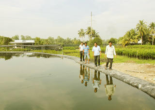Chủ động ứng phó xâm nhập mặn