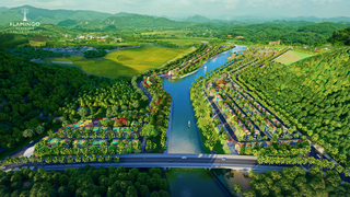 Flamingo - dấu chân thầm lặng làm đẹp những miền xanh Tổ quốc