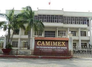 Công bố thiếu thông tin, Camimex bị xử phạt