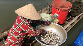 Khan hiếm sản vật mùa nước nổi