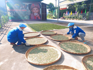 Mô hình giúp đồng bào dân tộc thiểu số ổn định sinh kế