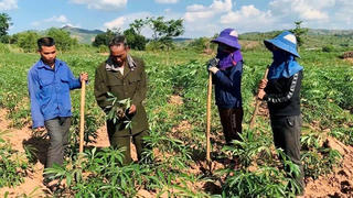 Chuyển biến tích cực trong đồng bào dân tộc thiểu số
