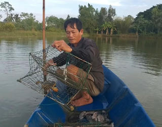 Nâng tầm thương hiệu cua Cà Mau