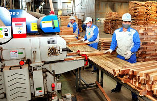 Doanh nghiệp xoay xở trong khó khăn kép