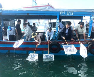 Khánh Hòa: Thả hơn 1,42 triệu con giống tái tạo nguồn lợi thủy sản năm 2023